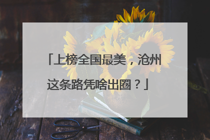 上榜全国最美，沧州这条路凭啥出圈？