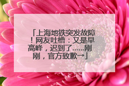 上海地铁突发故障！网友吐槽：又是早高峰，迟到了……刚刚，官方致歉→