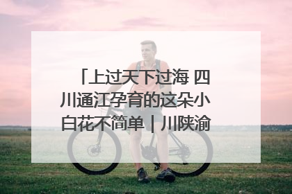 上过天下过海 四川通江孕育的这朵小白花不简单｜川陕渝网络名人巴中行