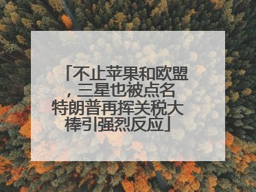 不止苹果和欧盟，三星也被点名 特朗普再挥关税大棒引强烈反应