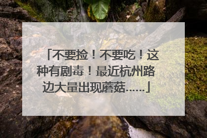 不要捡！不要吃！这种有剧毒！最近杭州路边大量出现蘑菇……