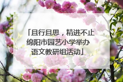 且行且思，精进不止 绵阳市园艺小学举办语文教研组活动