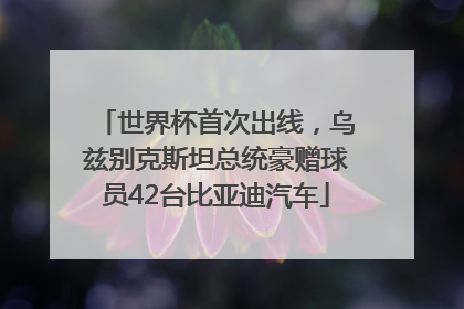 世界杯首次出线，乌兹别克斯坦总统豪赠球员42台比亚迪汽车