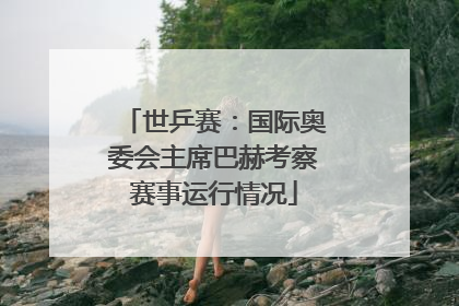 世乒赛：国际奥委会主席巴赫考察赛事运行情况
