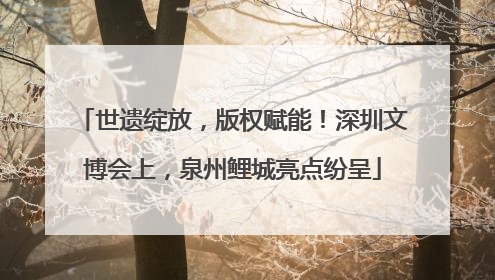 世遗绽放，版权赋能！深圳文博会上，泉州鲤城亮点纷呈