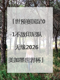 世预赛国足0-1不敌印尼队 无缘2026美加墨世界杯