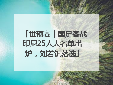 世预赛｜国足客战印尼25人大名单出炉，刘若钒落选
