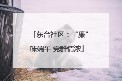 东台社区：“廉”味端午 党群情浓