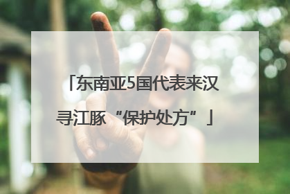 东南亚5国代表来汉寻江豚“保护处方”