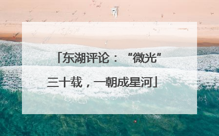东湖评论：“微光”三十载，一朝成星河