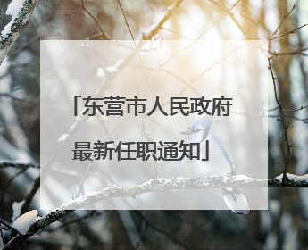 东营市人民政府最新任职通知