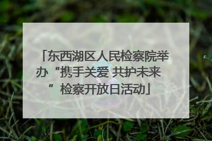 东西湖区人民检察院举办“携手关爱 共护未来”检察开放日活动