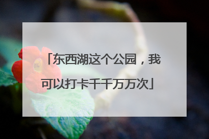 东西湖这个公园，我可以打卡千千万万次