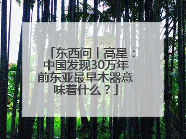 东西问丨高星：中国发现30万年前东亚最早木器意味着什么？