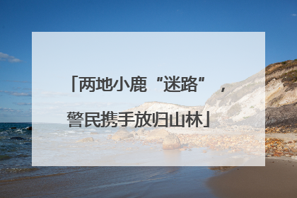 两地小鹿“迷路”，警民携手放归山林