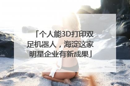 个人能3D打印双足机器人，海淀这家明星企业有新成果