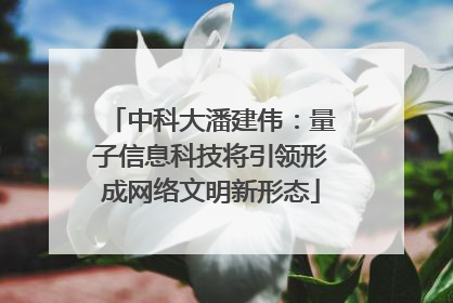 中科大潘建伟：量子信息科技将引领形成网络文明新形态