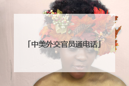 中美外交官员通电话