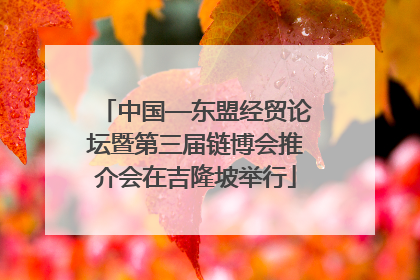 中国—东盟经贸论坛暨第三届链博会推介会在吉隆坡举行