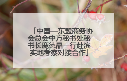 中国—东盟商务协会总会中方秘书处秘书长鹿德晶一行赴滨实地考察对接合作