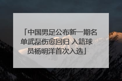 中国男足公布新一期名单武磊伤愈回归 入籍球员杨明洋首次入选