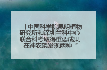 中国科学院昆明植物研究所和深圳兰科中心联合科考取得重要成果 在神农架发现两种“国保”级兰花