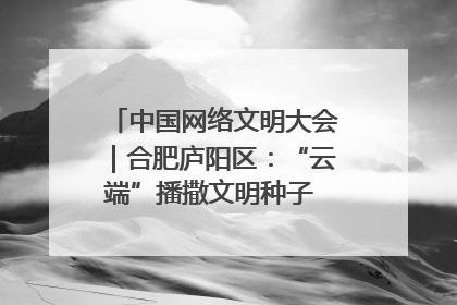 中国网络文明大会｜合肥庐阳区：“云端”播撒文明种子 共建清朗网络空间