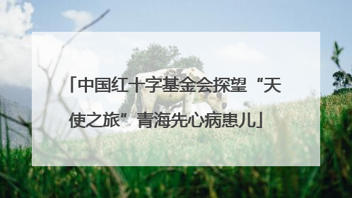 中国红十字基金会探望“天使之旅”青海先心病患儿