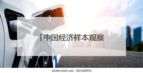 中国经济样本观察·一“业”成名丨“老树发新芽”！“浏阳烟花”燃亮世界