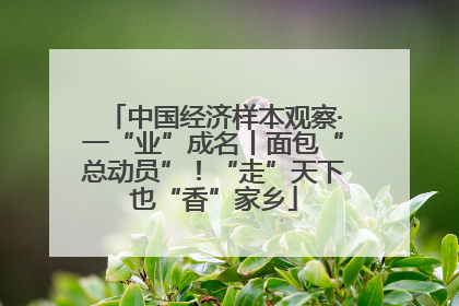 中国经济样本观察·一“业”成名丨面包“总动员”！“走”天下也“香”家乡