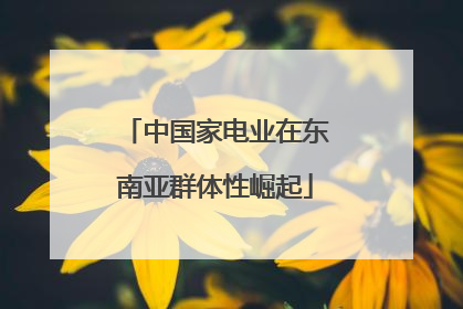 中国家电业在东南亚群体性崛起