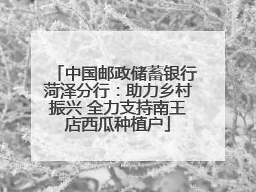 中国邮政储蓄银行菏泽分行：助力乡村振兴 全力支持南王店西瓜种植户