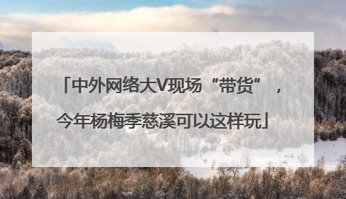 中外网络大V现场“带货”，今年杨梅季慈溪可以这样玩