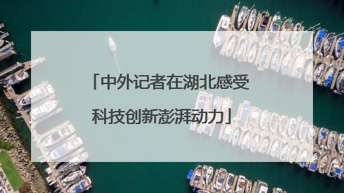 中外记者在湖北感受科技创新澎湃动力