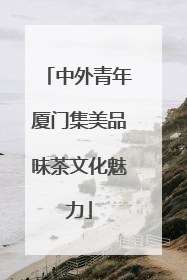 中外青年厦门集美品味茶文化魅力