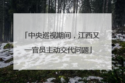 中央巡视期间，江西又一官员主动交代问题
