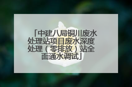 中建八局铜川废水处理站项目废水深度处理（零排放）站全面通水调试