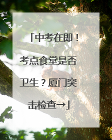 中考在即！考点食堂是否卫生？厦门突击检查→