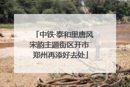 中铁·泰和里唐风宋韵主题街区开市 郑州再添好去处