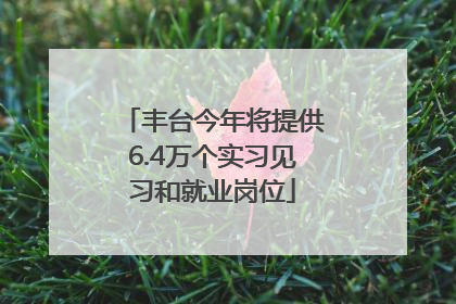 丰台今年将提供6.4万个实习见习和就业岗位