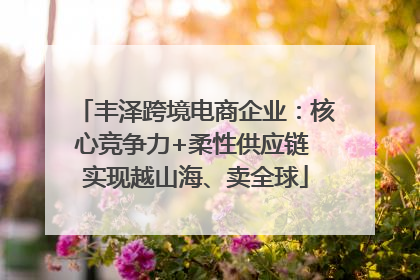 丰泽跨境电商企业：核心竞争力+柔性供应链 实现越山海、卖全球