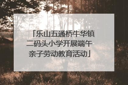 乐山五通桥牛华镇二码头小学开展端午亲子劳动教育活动