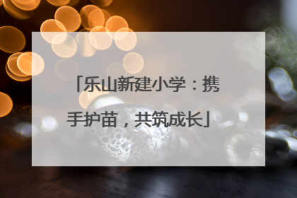 乐山新建小学：携手护苗，共筑成长
