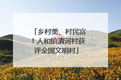 乡村美、村民富！人和镇清河村获评全国文明村
