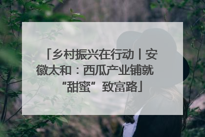 乡村振兴在行动丨安徽太和：西瓜产业铺就“甜蜜”致富路