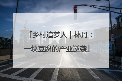 乡村追梦人｜林丹：一块豆腐的产业逆袭