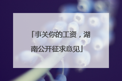 事关你的工资，湖南公开征求意见