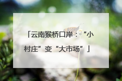 云南猴桥口岸：“小村庄”变“大市场”