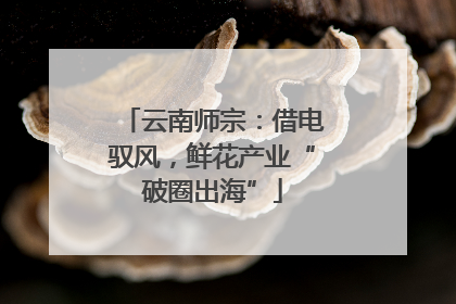 云南师宗：借电驭风，鲜花产业“破圈出海”