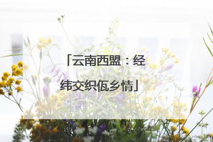 云南西盟：经纬交织佤乡情